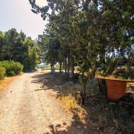 Apartment Jakov *